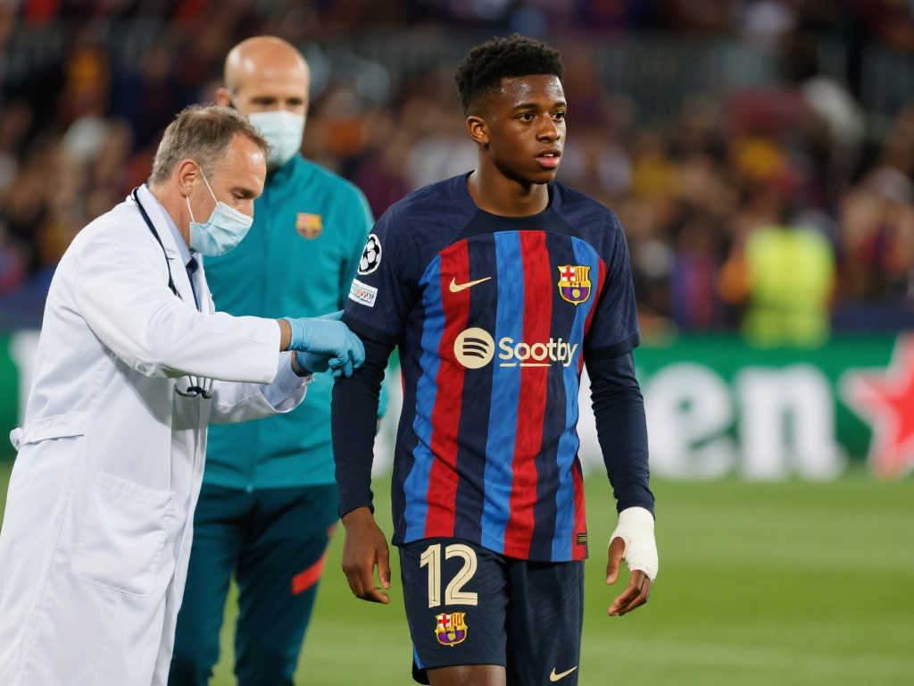 或者投身新 或者投身新